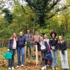2024_10_Ein Kirschbaum für das KHG
